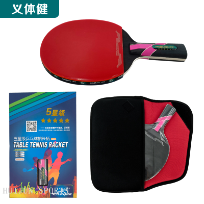 HJ-L117 huijun sports pingpang table tennis