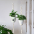 Amazon Woven Hanging Baskets Wall Hanging Indoor Mori Hanging Ornaments Hanging Net Pocket Ins Wind Creative Balcony Hanging