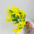 Factory Direct Sales Simulation Plastic Flowers 5 Fork 23 Head Shooting Props Indoor and Outdoor Decoration DIY Flower Arrangement