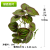 a Variety of Artificial Green Plants 9 Forks Monstera Deliciosa Green Radish Leaf Red Folium Nelumbinis Fake Flower Pot Wholesale Simulation Plant Wall Accessories