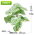 a Variety of Artificial Green Plants 9 Forks Monstera Deliciosa Green Radish Leaf Red Folium Nelumbinis Fake Flower Pot Wholesale Simulation Plant Wall Accessories