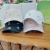 Bear Embroidery Hard Top Mesh Cap Summer Face-Looking Small Sun Hat