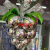 Christmas decorations Christmas ball shopping mall Hotel Hotel KTV holiday roof layout