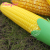 Corn umbrella/realistis corn umbrella/A series of vegetable fruit umbrella