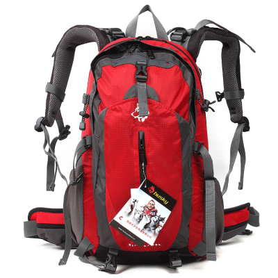 Business Casual Backpacks Laptop Hiking Camping Bags Computer Bags