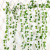 Color printing artificial rattan series small malus spectabilis leaves scindapsus aureus