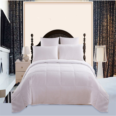 Hotel bedding cotton thickening warm feather velvet by core 