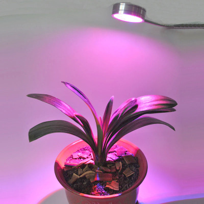 LED 7W plant growth light plant growth lamp  stock