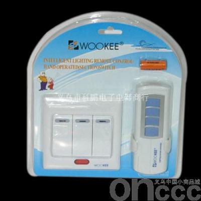 Remote control switch (lighting) 317E