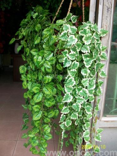 Simulation Wall Hanging Leaf Rattan Simulation Green Leaf Small Wall Hanging Simulation Hanging Vine Simulation Flower Hanging Simulation Rose Hanging Simulation Leaf Rattan Simulation Leaf