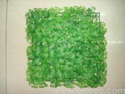 Simulation cilantro herb