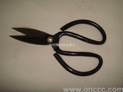 Civilian, mouth, a pair of scissors and head scissors