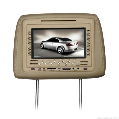 Auto Lichen DVD monitor