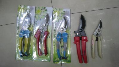 Cut Flowers, Branch Shears