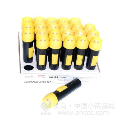 Plastic flashlight