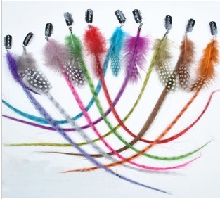 50cm 0.3g One clip in the Multi-color synthet彩色单卡子发片 ic hair with feather 