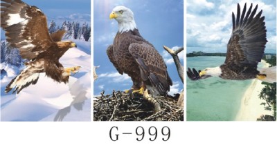 Three-Changing Eagle Three-Dimensional Stereograph
