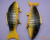 Yiwu customs bamboo handicrafts _ singing _ the toys wooden fish _ fish _ wooden fish