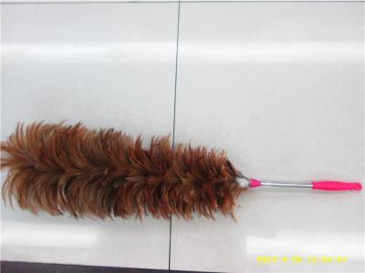 A Feather duster