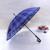 Korean high-grade cute Plaid creative boutique  golf umbrella XB-816