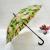 New Korean Golf  Beauty Boutique upscale fashion umbrellas XB-819