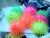 2nd face glowing fluffy ball, various glowing fluffy ball, massage ball inflatable bounce