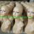 Tall mannequin head,Glamour model,Retail products,Wholesale products