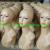 Tall mannequin head,Glamour model,Retail products,Wholesale products