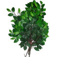 Simulation Banyan Tree Leaves Fake Leaves Garden Decoration Leaves Fake Maple Leaf Plastic Leaves Artificial Palm Leaf 