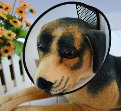 Dongda | transparent pet supplies cat and dog bite-proof pet protection washers Elizabethan collar