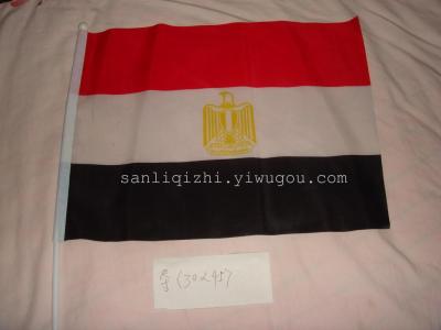 The size of the Egyptian flag foreign flag flags World Cup flag