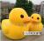 Small yellow Duck, Large yellow Duck Nano doll