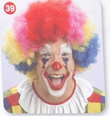 Funny Clown fans wig Halloween wig