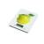 Glass Home household kitchen scale kitchen scales electronic scales