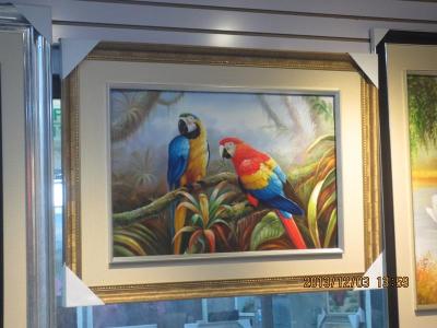 Parrot Oil Painting 1106