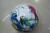 Toy ball/ball//PVC 9-inch beach ball/Dan Yinqiu/printing//all India flower ball ball