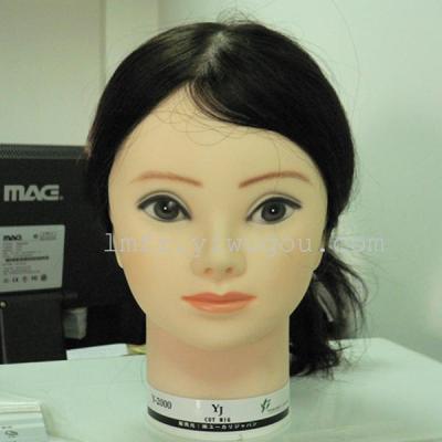 Manufacturers supplying high quality plastic model head die mannequin head