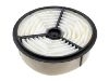 Air Filter (17801-16010)