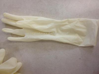 The Disposable 12 - inch latex gloves.