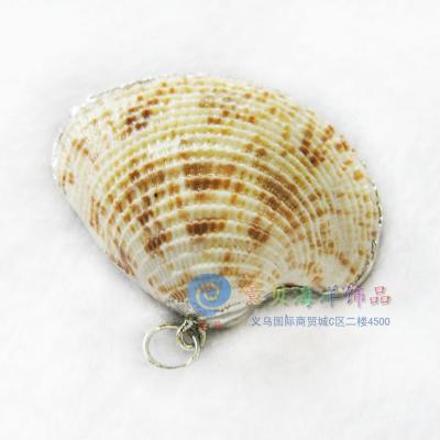 [Italian shell coral] natural shell shell shell shell shell shell shell shell jewelry accessories wholesale