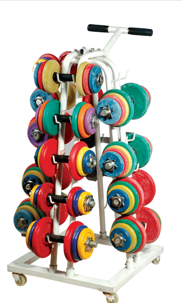 white dip dumbbell rack