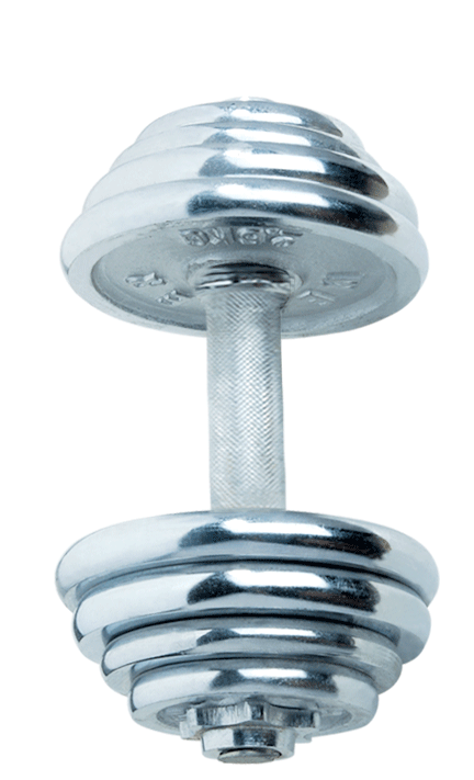 electroplated dumbbell is cheap and fine