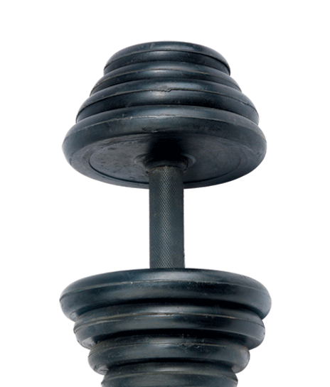 Plastic Dumbbell Wholesale Price