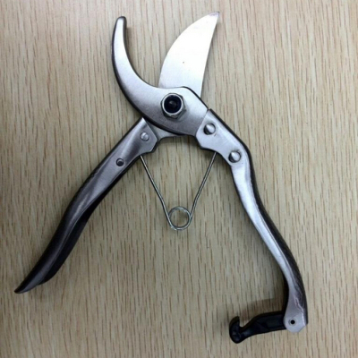 Garden flowers and pruning shears pruning fruit trees pruning shears scissors branch