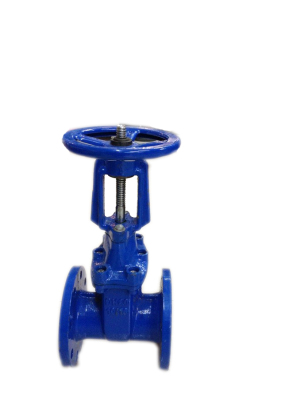 Rising Stem Gate Valve