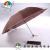 Color the butterflies guniting color umbrella touch rocky waterproof fabric 10 three folding umbrella umbrella bone steel