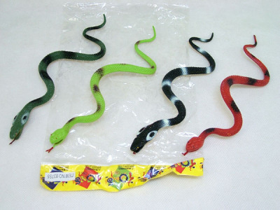 Animal snake