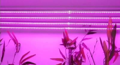 LED T8 integrated plant grow lamp light lamp  plant nursery fill light    