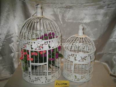Wrought iron bird cage