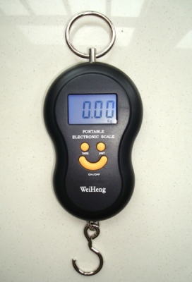 Electronic scale parcel scales hanging scale luggage weighing fishing scale express hook scale M625